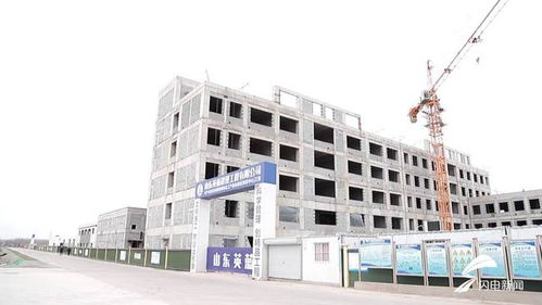 平原縣 聚焦綠色化工與農副產品精深加工，雙輪驅動沖刺百億產值新高地