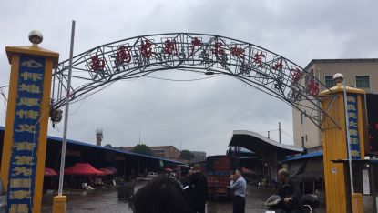 衡陽市西園農副產品批發大市場債權問題分析 農副產品流通環節的金融風險與應對策略